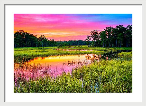 Everglades Dawn Tranquility