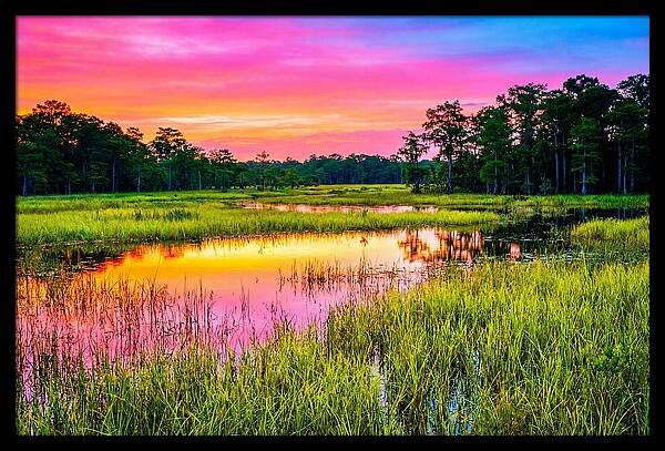 Everglades Dawn Tranquility