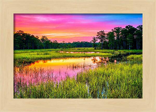 Everglades Dawn Tranquility