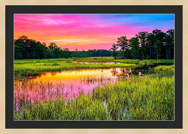 Everglades Dawn Tranquility