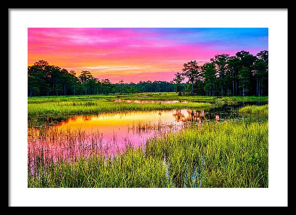 Everglades Dawn Tranquility