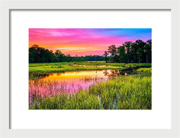 Everglades Dawn Tranquility
