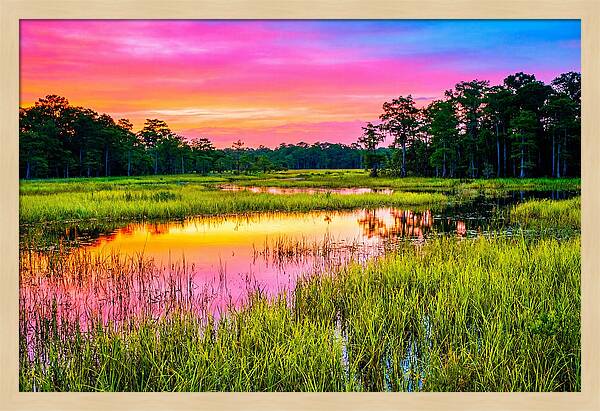 Everglades Dawn Tranquility