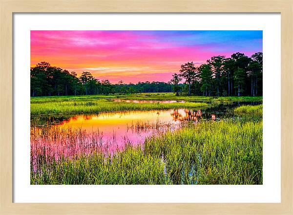 Everglades Dawn Tranquility