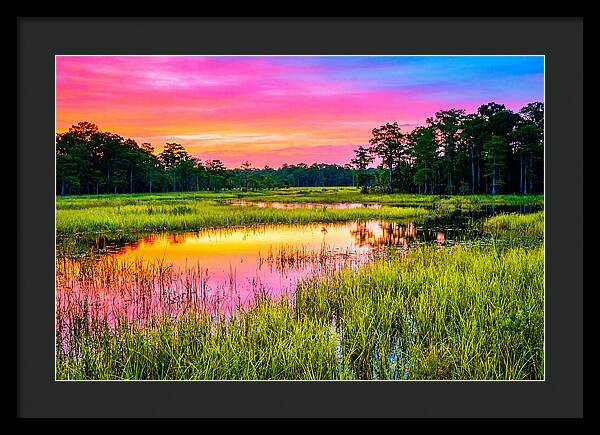 Everglades Dawn Tranquility