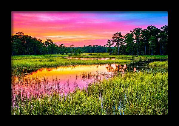 Everglades Dawn Tranquility