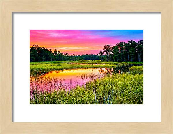 Everglades Dawn Tranquility