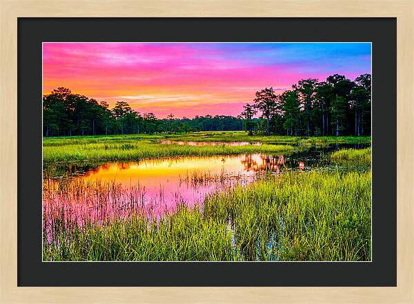 Everglades Dawn Tranquility