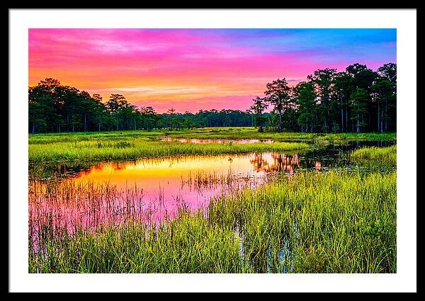 Everglades Dawn Tranquility