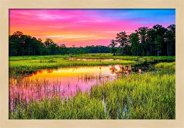 Everglades Dawn Tranquility