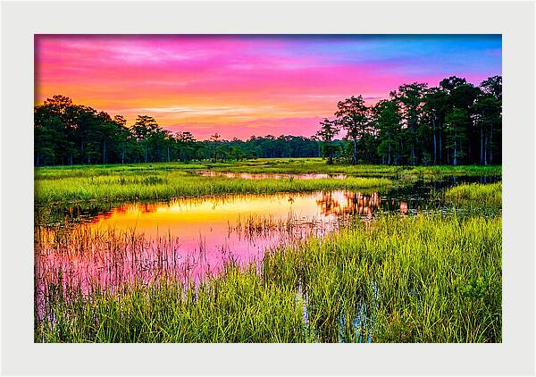 Everglades Dawn Tranquility