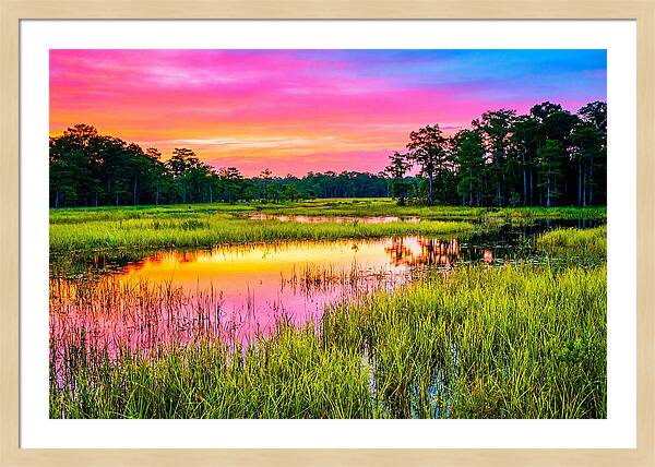 Everglades Dawn Tranquility