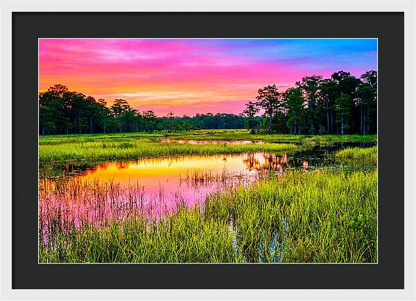 Everglades Dawn Tranquility