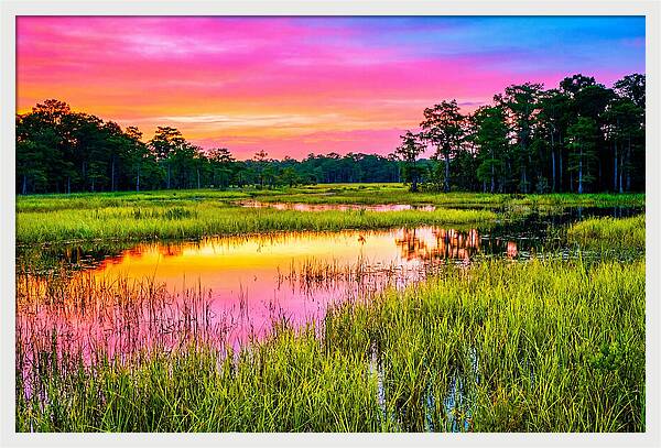 Everglades Dawn Tranquility