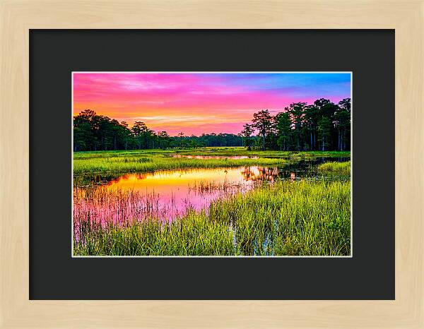 Everglades Dawn Tranquility