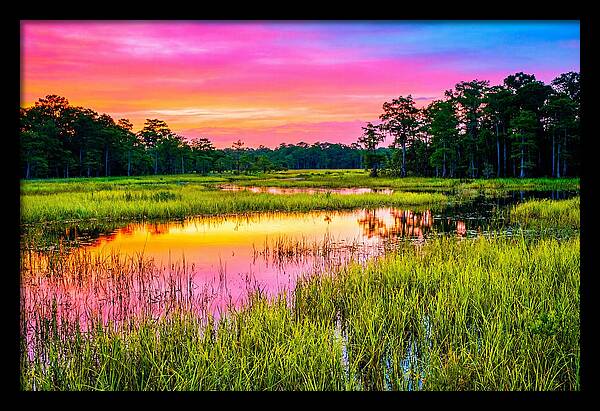 Everglades Dawn Tranquility