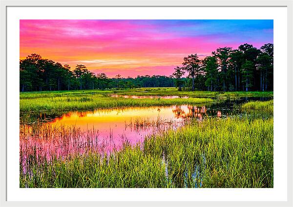 Everglades Dawn Tranquility