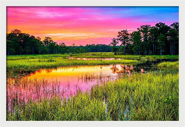 Everglades Dawn Tranquility