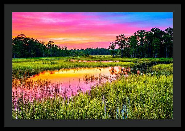 Everglades Dawn Tranquility