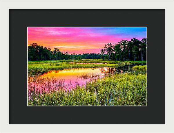 Everglades Dawn Tranquility