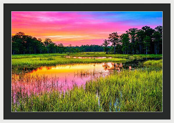 Everglades Dawn Tranquility