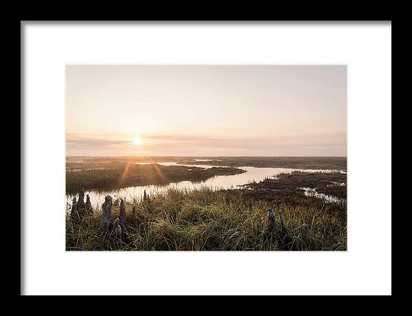 Everglades Dawn Tranquility