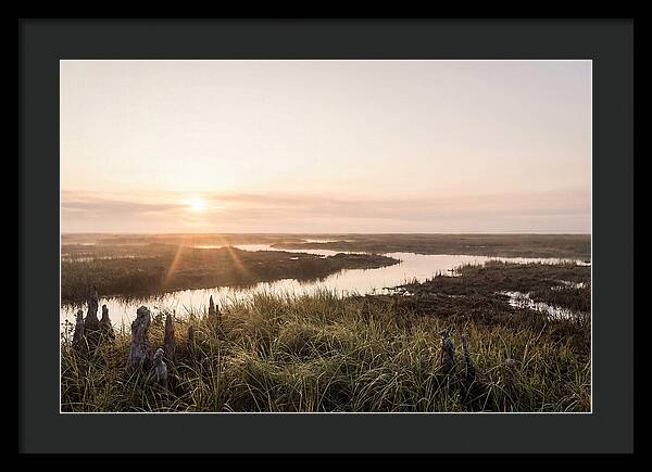Everglades Dawn Tranquility