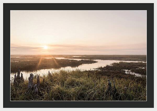 Everglades Dawn Tranquility