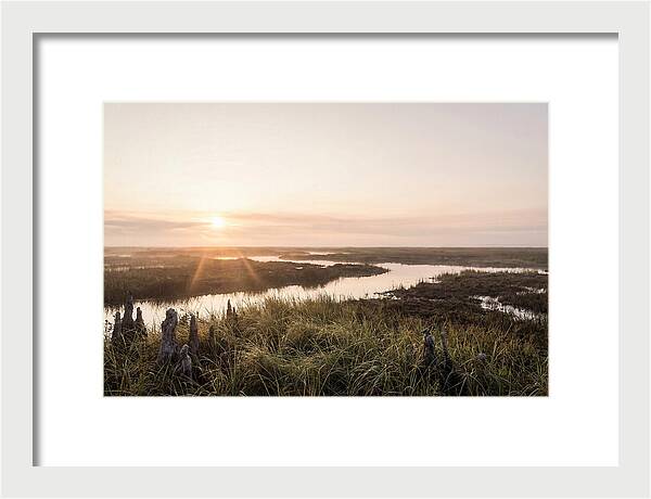 Everglades Dawn Tranquility