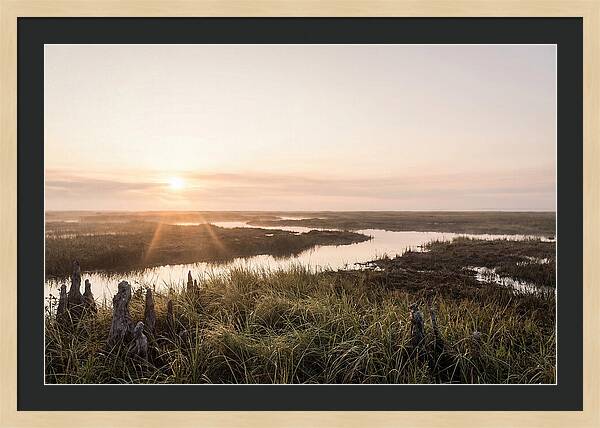 Everglades Dawn Tranquility