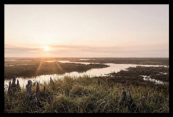 Everglades Dawn Tranquility