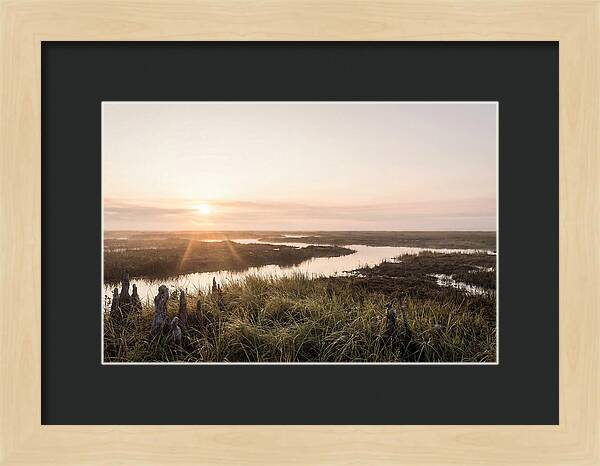Everglades Dawn Tranquility