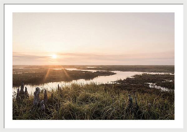 Everglades Dawn Tranquility