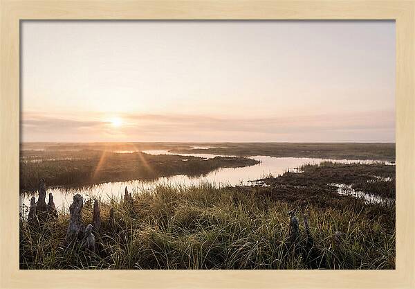 Everglades Dawn Tranquility