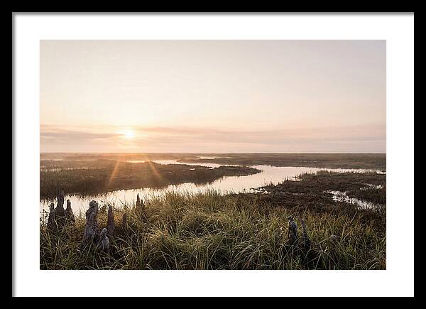 Everglades Dawn Tranquility