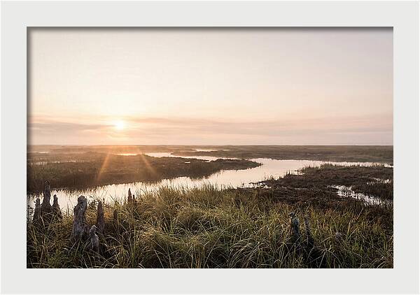 Everglades Dawn Tranquility