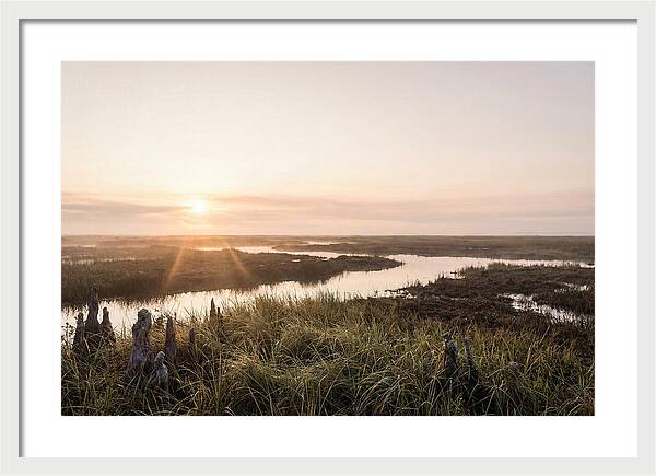 Everglades Dawn Tranquility