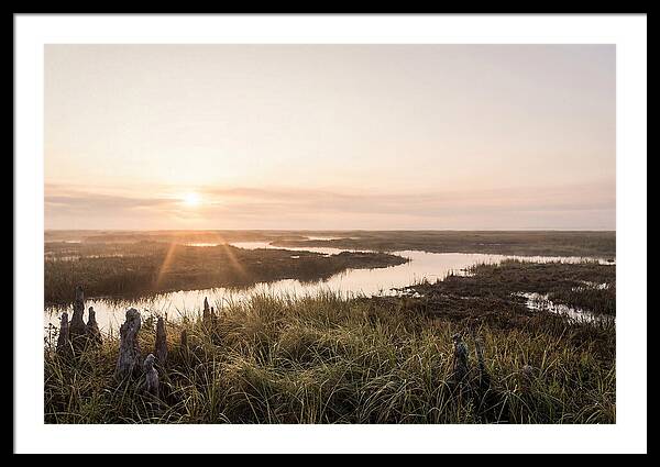 Everglades Dawn Tranquility