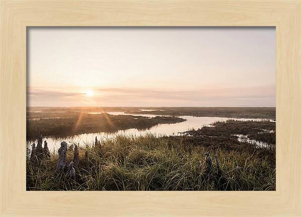 Everglades Dawn Tranquility