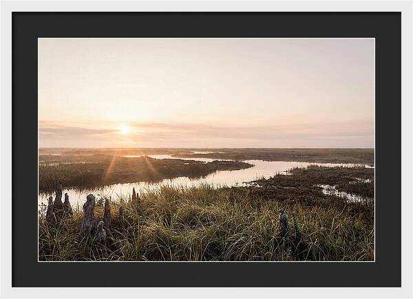 Everglades Dawn Tranquility