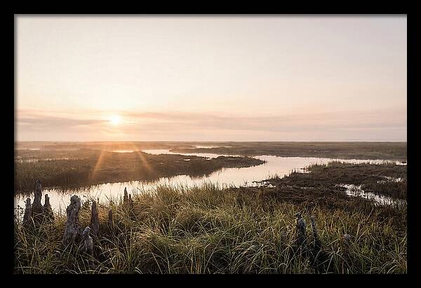 Everglades Dawn Tranquility