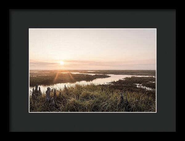 Everglades Dawn Tranquility