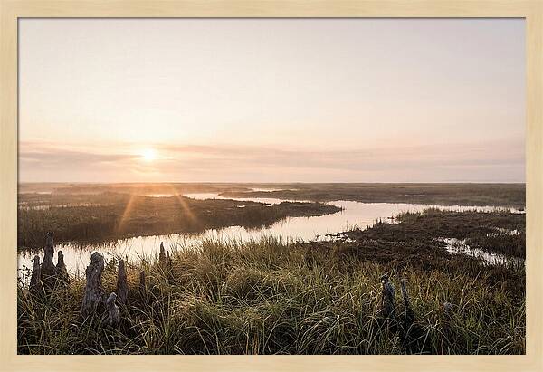 Everglades Dawn Tranquility