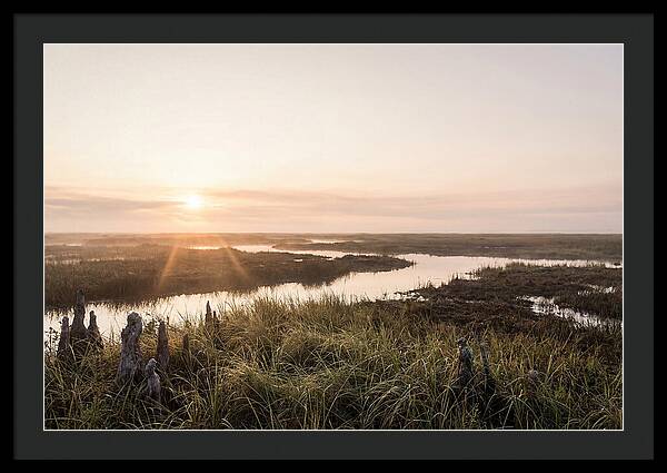 Everglades Dawn Tranquility