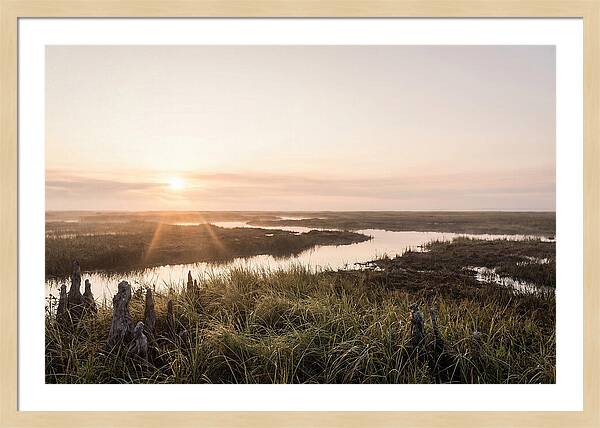 Everglades Dawn Tranquility