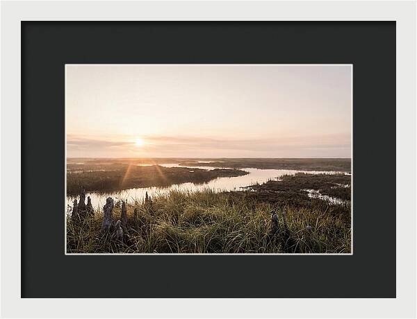 Everglades Dawn Tranquility