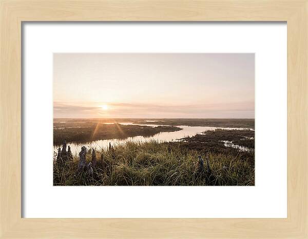 Everglades Dawn Tranquility