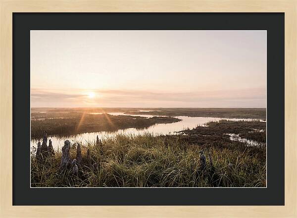 Everglades Dawn Tranquility