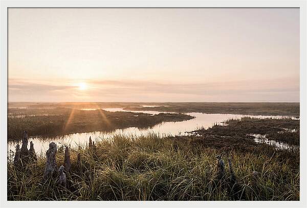 Everglades Dawn Tranquility