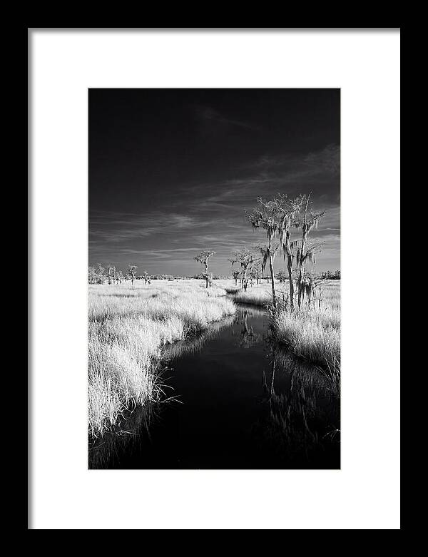 Everglades Dawn Tranquility
